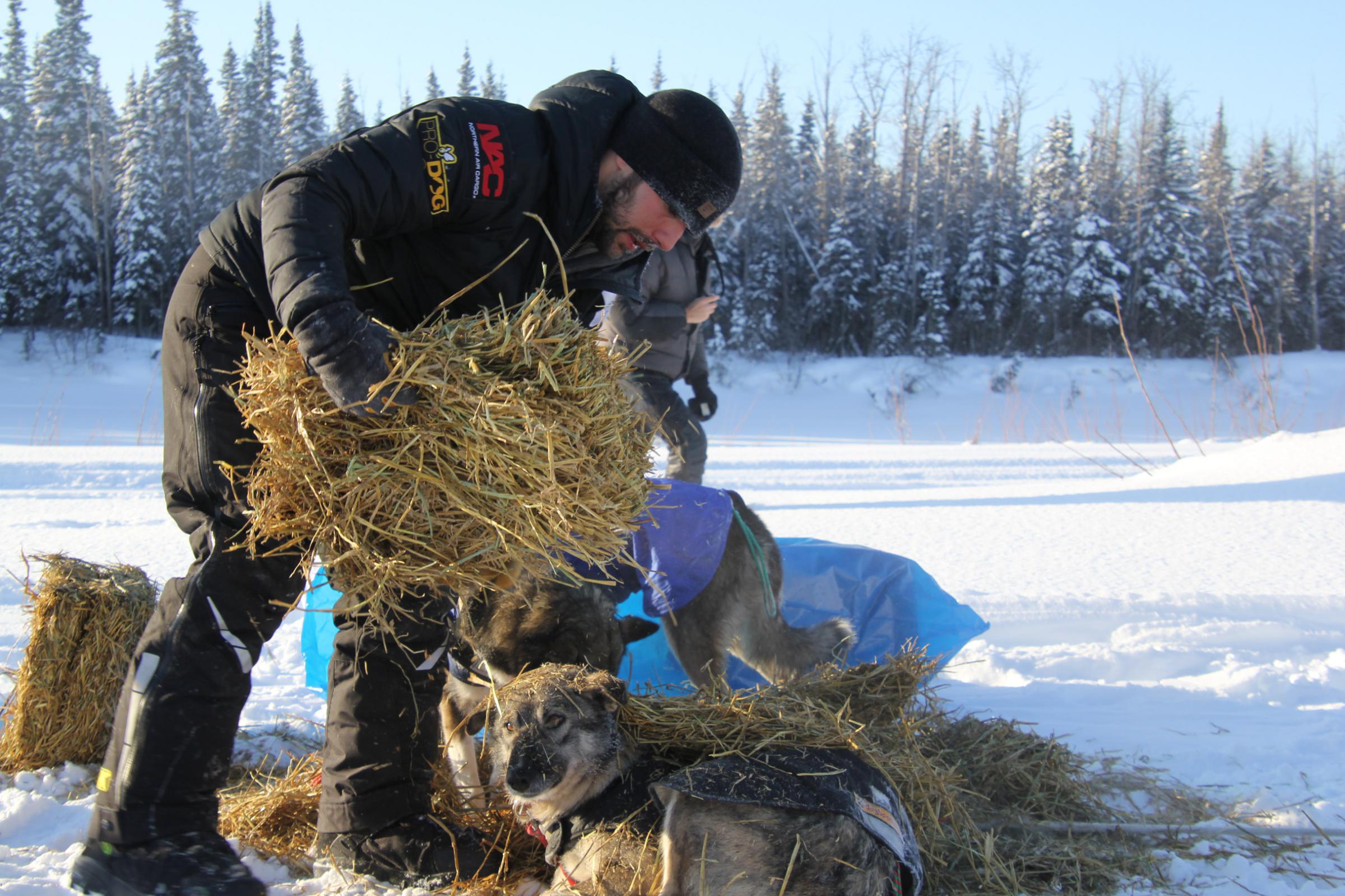 Iditarod mushers should expect deep trail snow