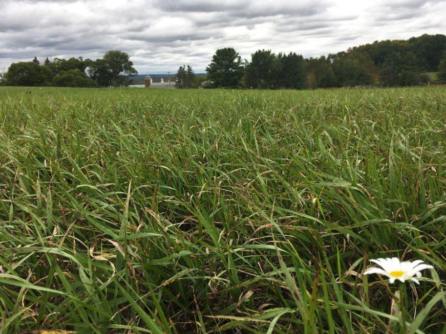 They were forced off their land. Their homes burned. 118 years later