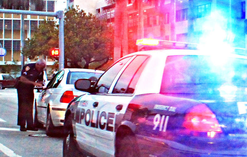 Police officers in Michigan can see if you have car