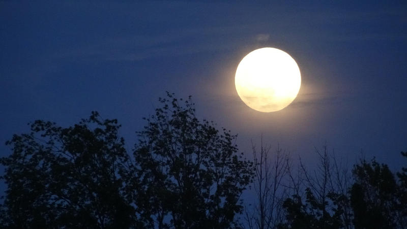 Does a full moon lead to erratic behavior? Scientists say 'no ...