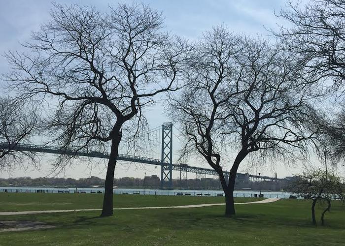 wayne county may put its home up for sale