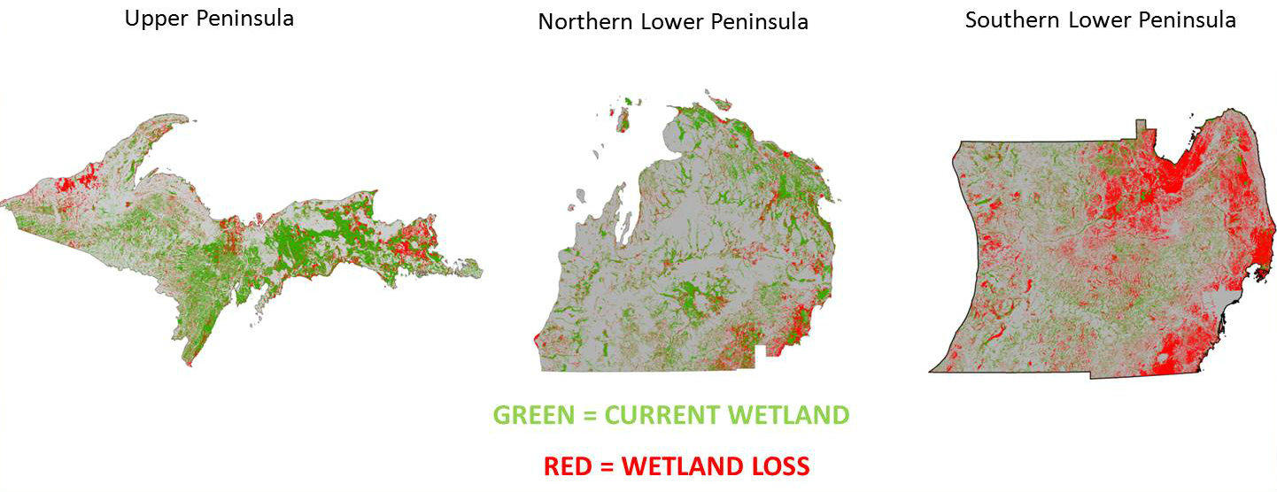 Big changes are coming to wetland regulations in Michigan Michigan Radio