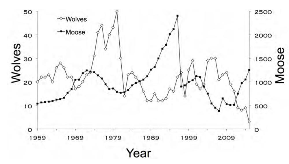Moose Growth Chart