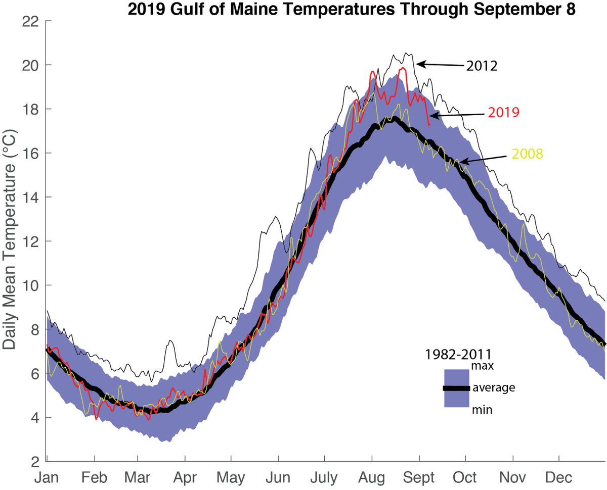 The Gulf Of Maine's Temperature Was 'Normal' This Year — Which Is The
