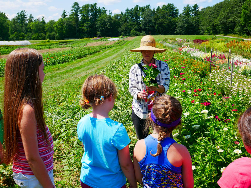 A Summer On The Farm Offers A Different Spin On Summer Camp Maine Public