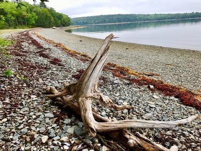 What Is Your Hidden Corner Of Maine Maine Public