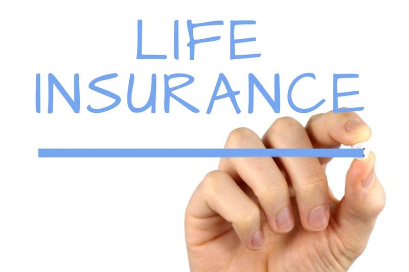 Life Insurance Medicinal Mushrooms Child IRAs