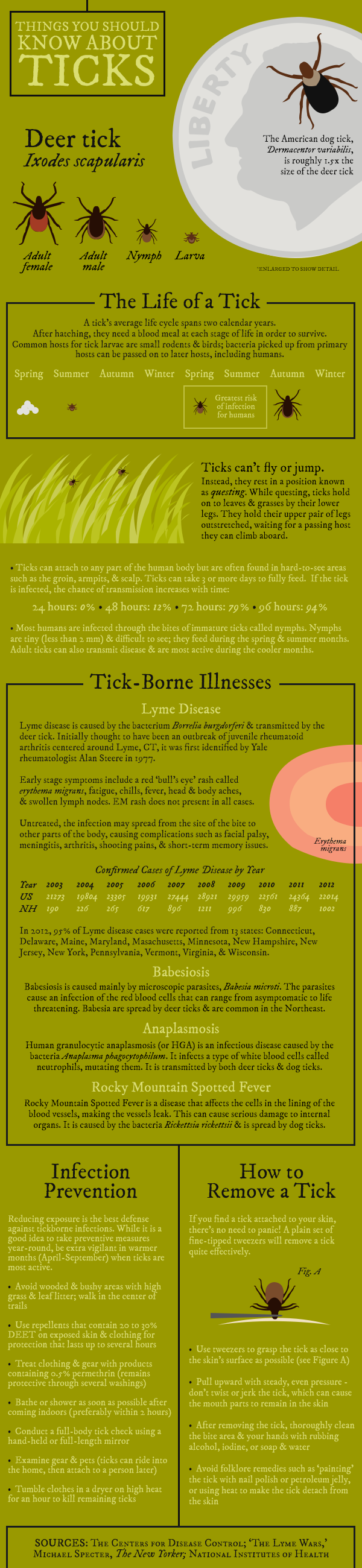 Things You Should Know About Ticks [Infographic] New Hampshire Public