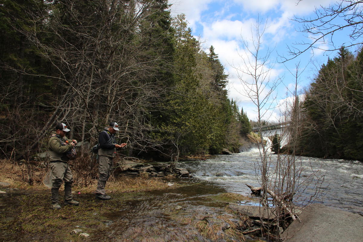 A Rite of Summer Fly Fishing the Connecticut River New Hampshire