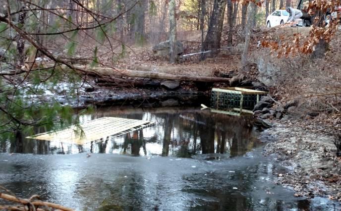 N.H. DOT Turns To 'Beaver Deceivers' To Stop Rt. 28 Flooding In