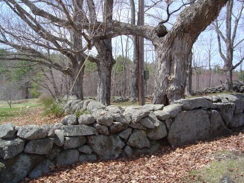 Stone Walls Make Good Fences New Hampshire Public Radio
