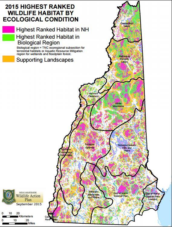 Fish And Game Updating Blueprint For Next Ten Years Of N H Wildlife New Hampshire Public Radio