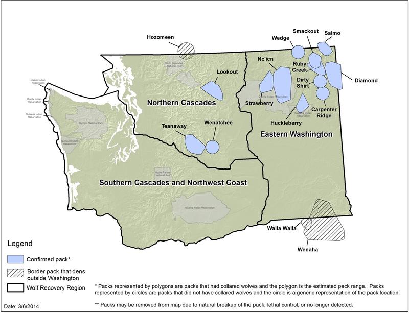 Northeast Washington Politicians Propose To Relocate Wolves Westward ...