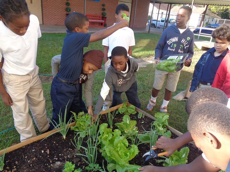 Good Food Project Receives Grant To Expand In Cenla Parishes 