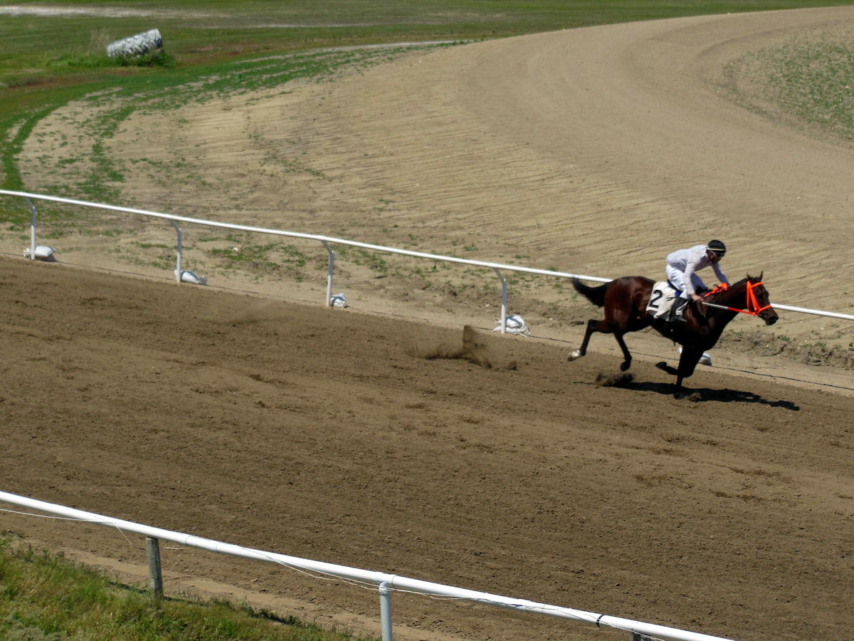 Horse Racing Tradition Continues In Aberdeen SDPB Radio