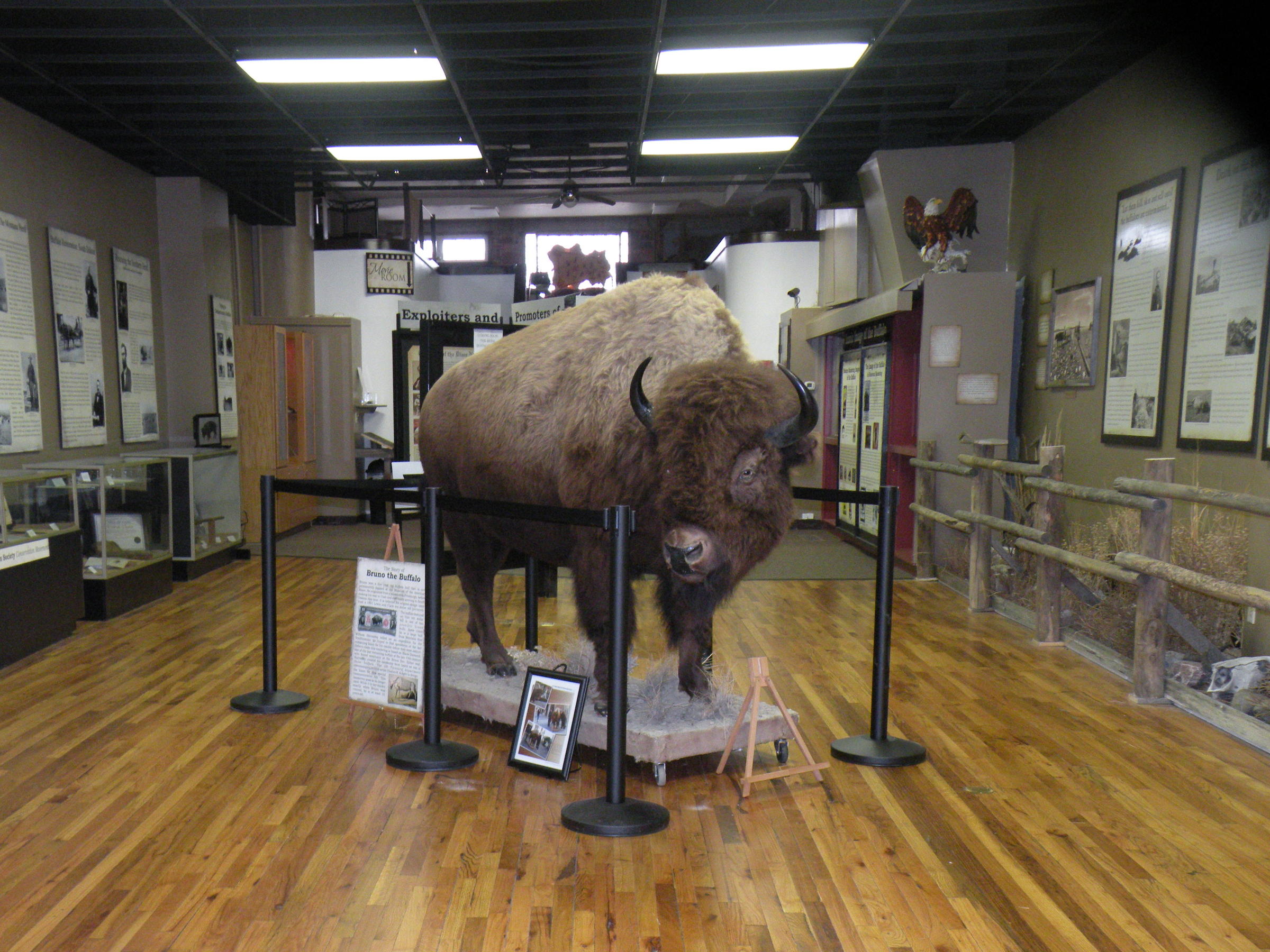 Bison Museum On Best Places List Sdpb Radio