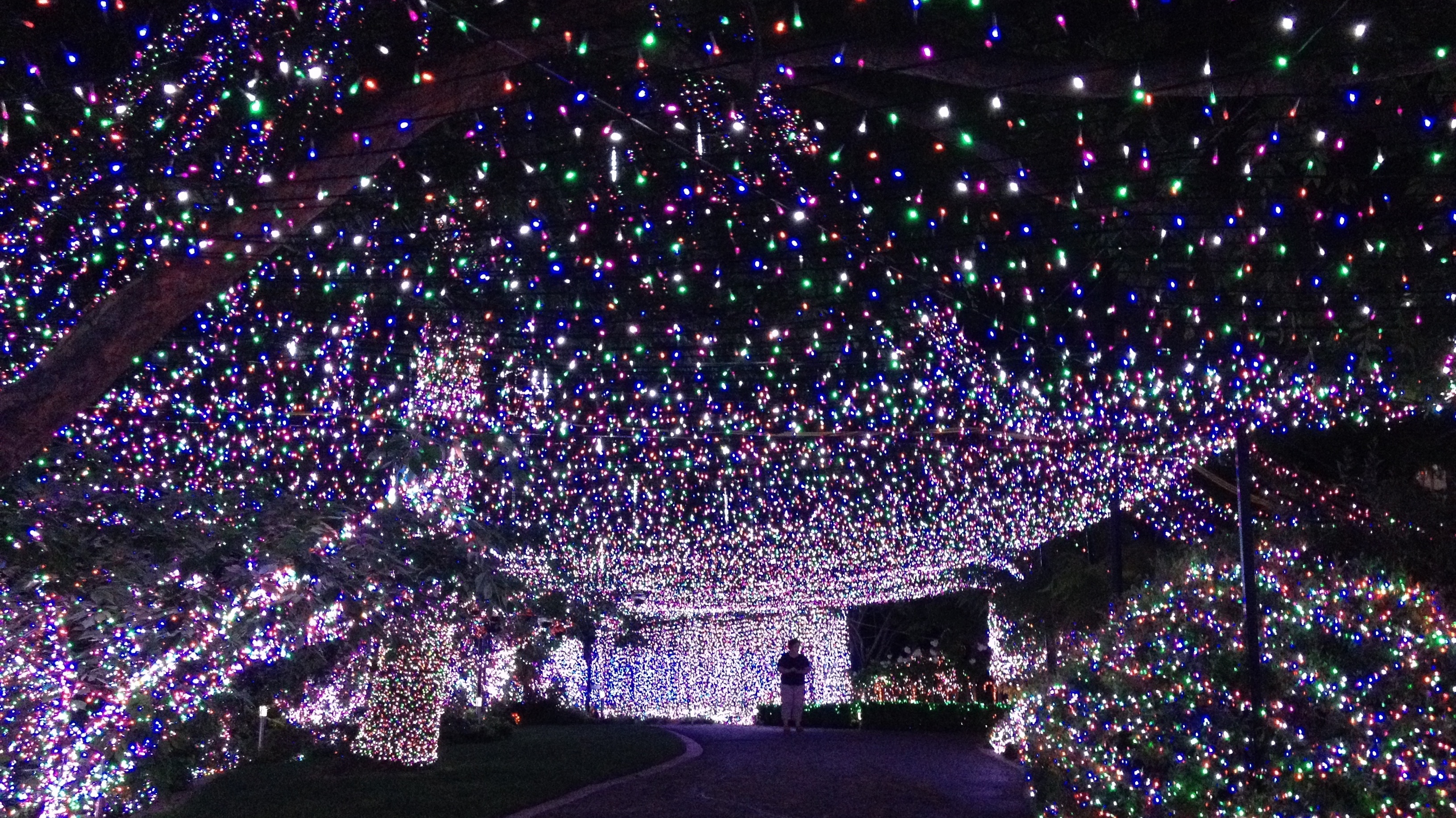 greensboro christmas lights