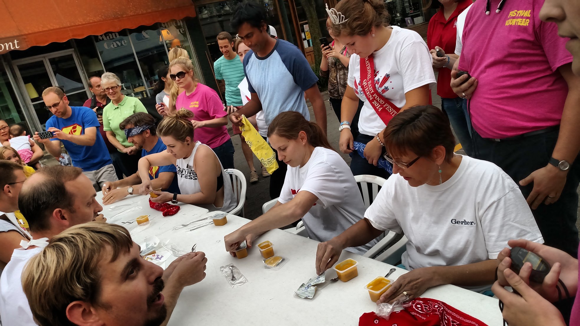 gerber blueberry buckle