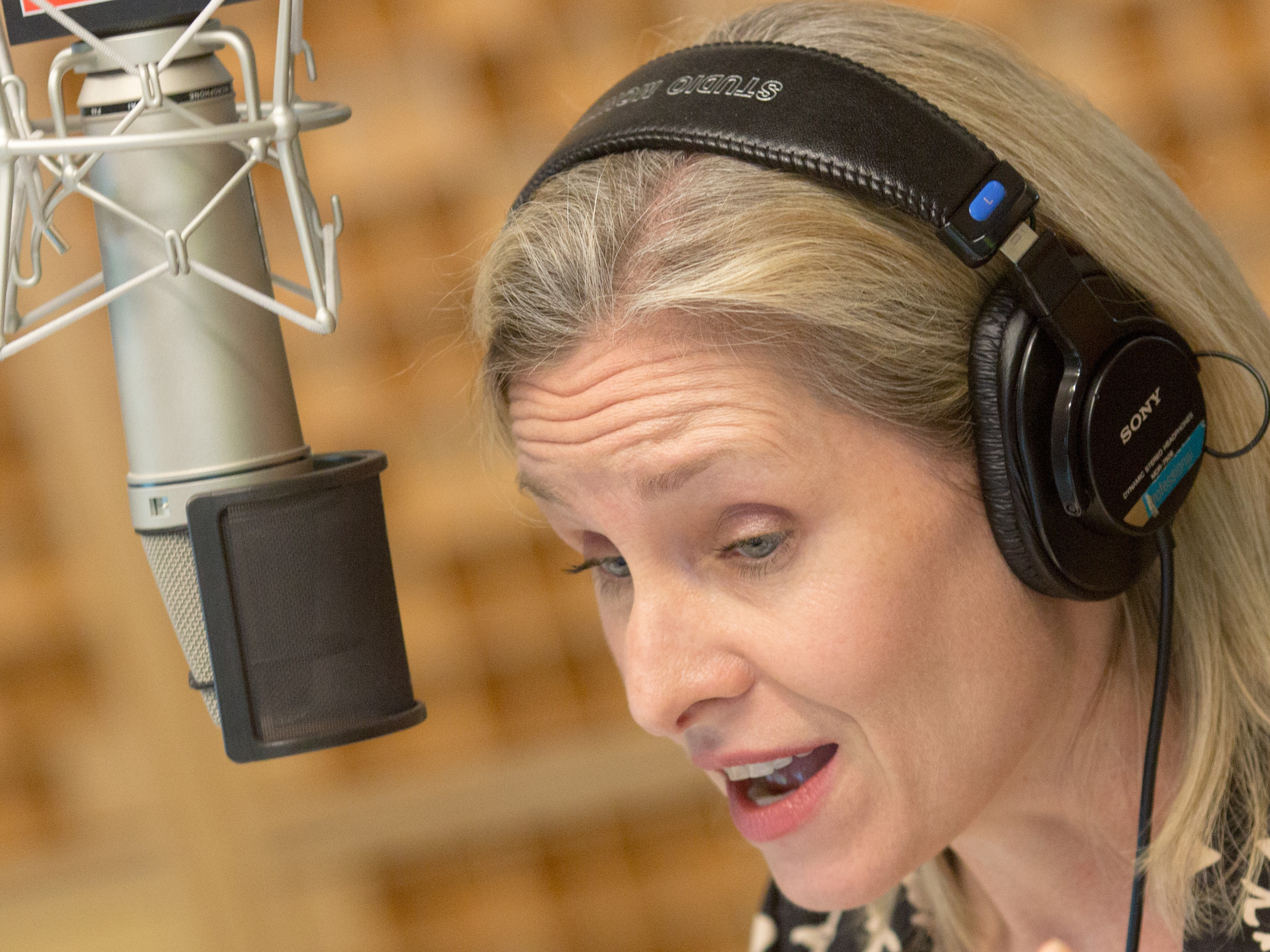 Mary Louise Kelly How A Veteran Radio Journalist Adapts To Hearing Loss Npr Illinois