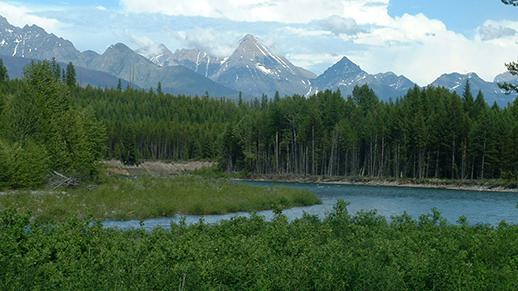 Flathead National Forest Proposes Fee Increases Yellowstone