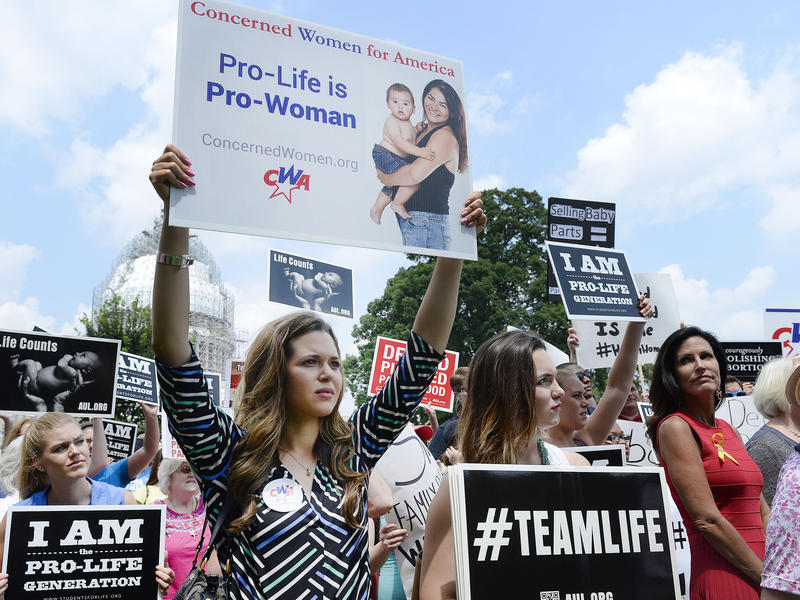 Fact Check How Does Planned Parenthood Spend That Government