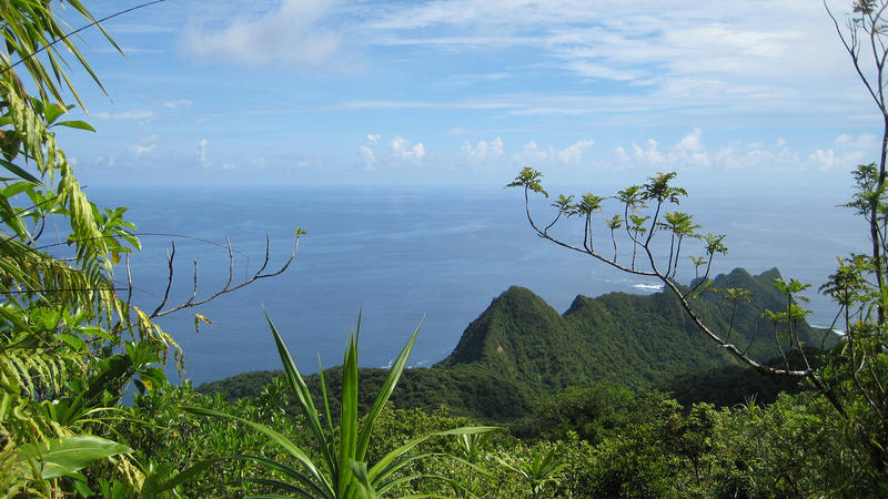 Is Samoa's Obesity Epidemic A Harbinger For Other Developing Nations ...