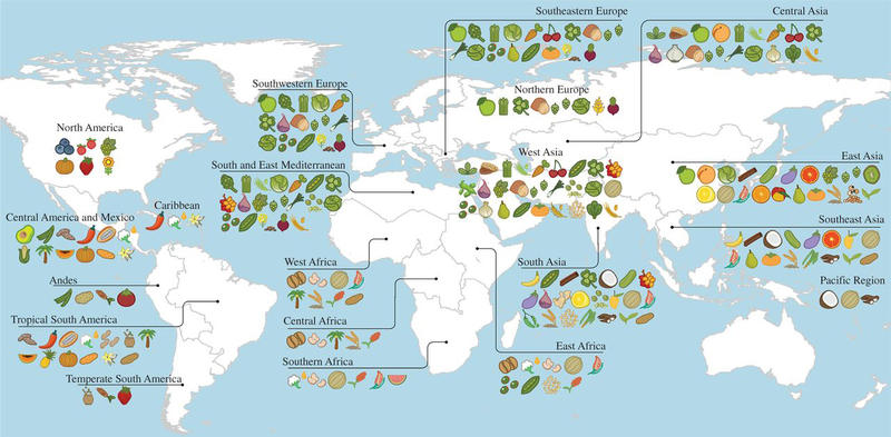 a-map-of-where-your-food-originated-may-surprise-you-wcbe-90-5-fm