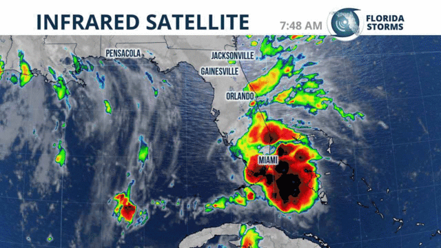 Tropical Storm Gordon Forms over South Florida | WJCT NEWS