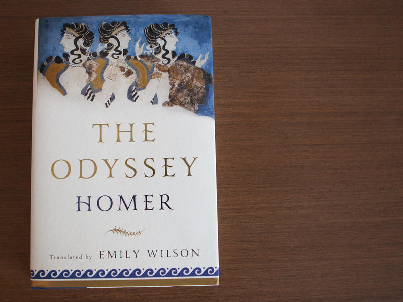the odyssey emily wilson the odyssey emily wilson