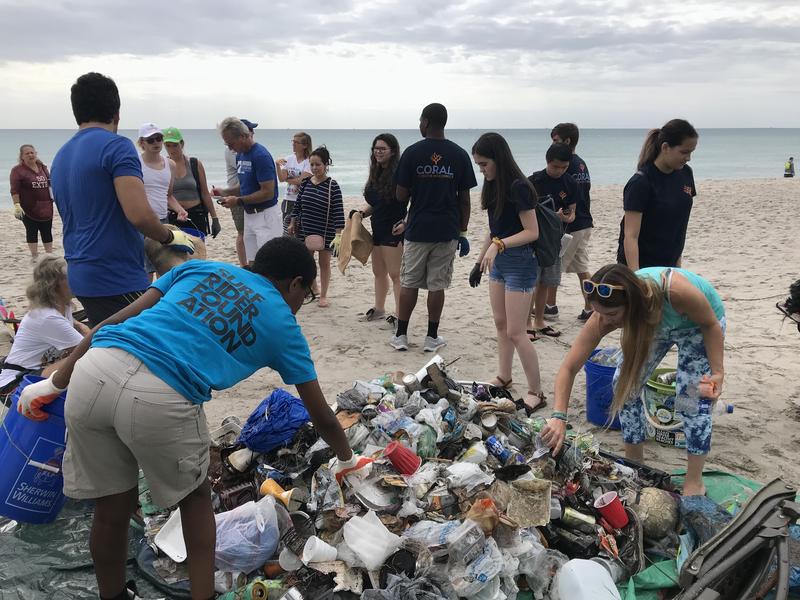 Hundreds Of Hollywood Beachgoers Clean Up Trash In Honor Of Earth Day ...
