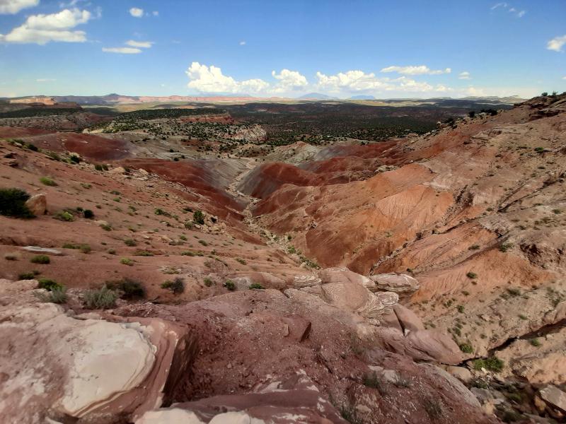 Lend A Hand On National Public Lands Day | Wyoming Public Media