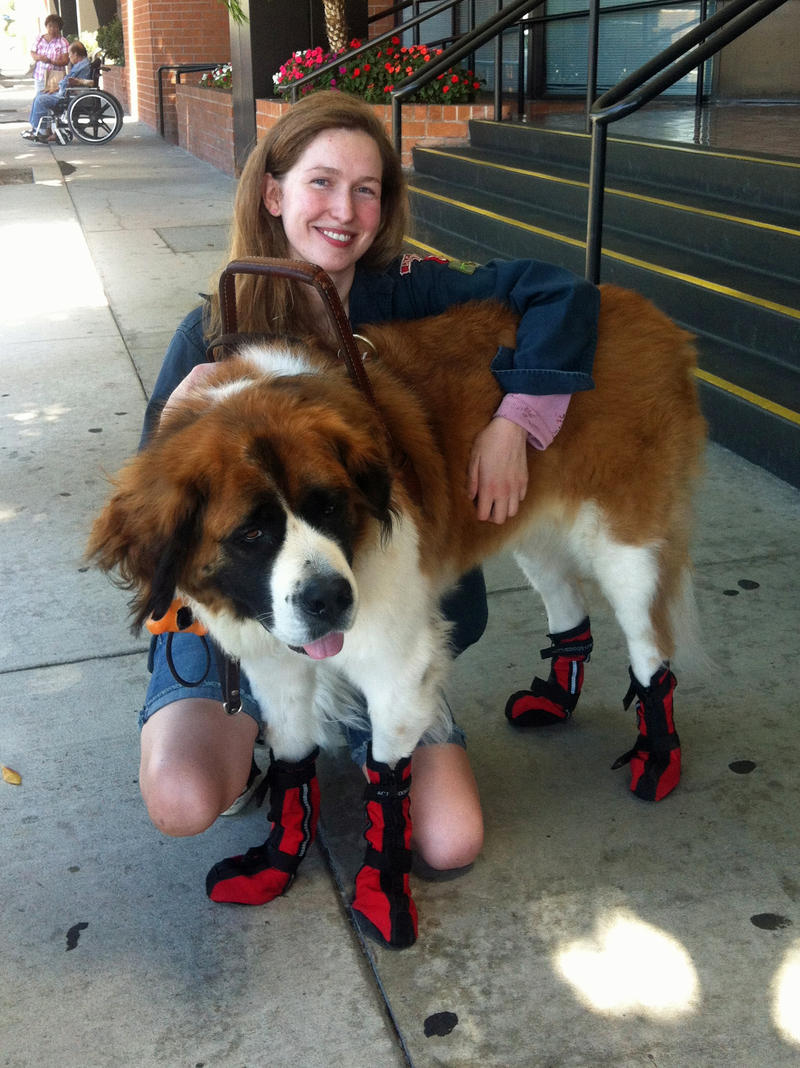 disneyland emotional support animal
