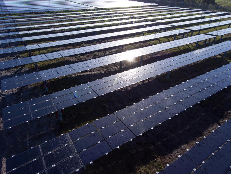 Tampa Electric Co Health News Florida