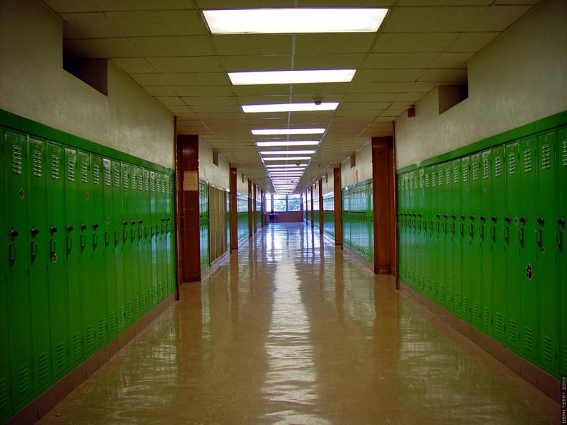 Illinois Students Might Be Given Extra Days Off To Cope With Mental Health Issues | Peoria Public Radio