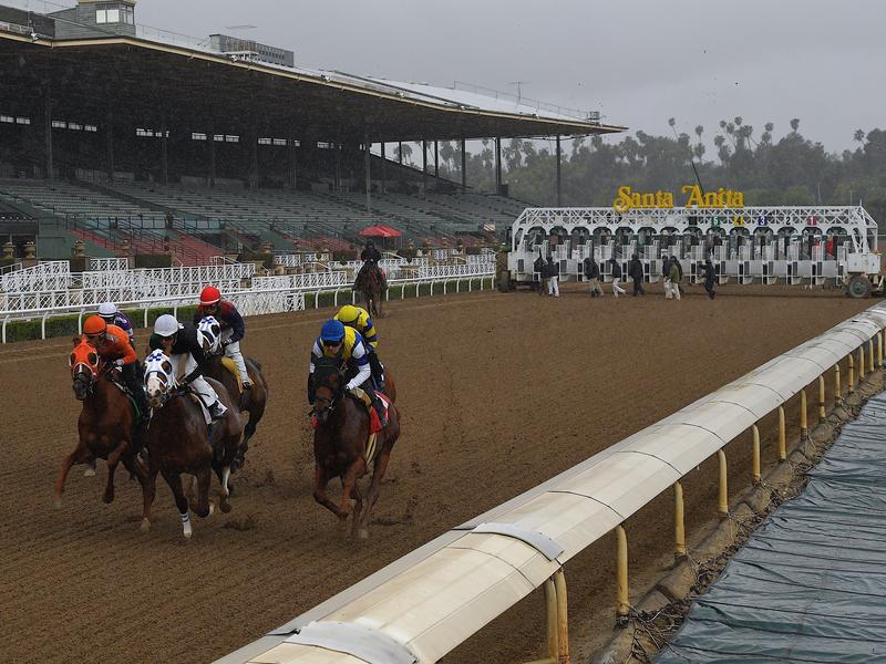 another-horse-dies-at-santa-anita-race-track-the-11th-since-late