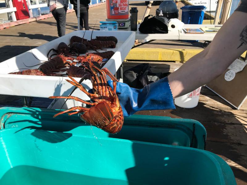 Fishermen Team Up With Food Banks To Help Hungry Families