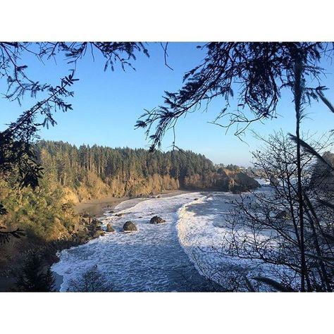 Toxic Algae Blooms At Oregon-California Border Spurred By Climate Change, Study Says - KLCC FM Public Radio