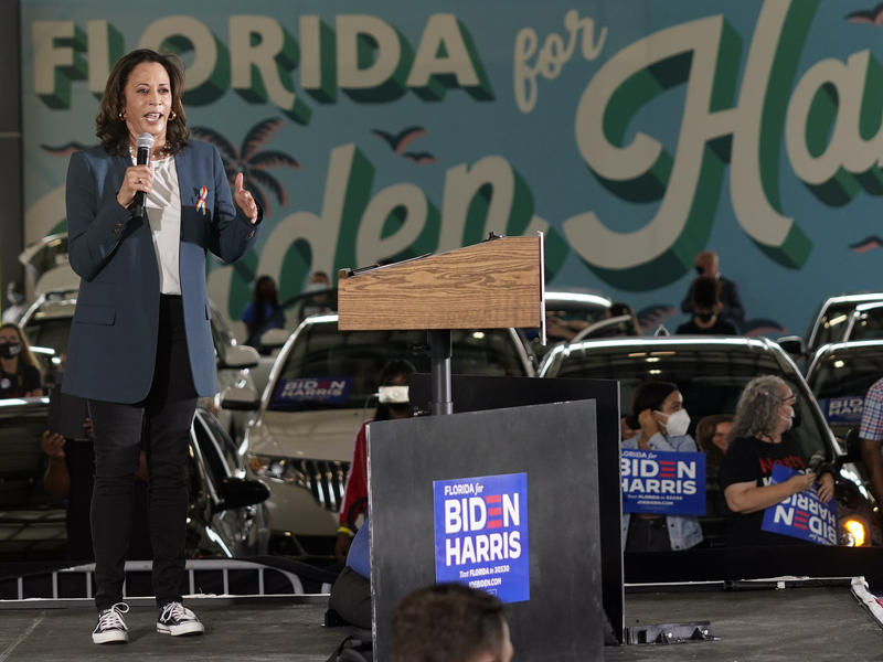 The Florida Democratic Party Has A Problem: It's Broke And Disorganized ...