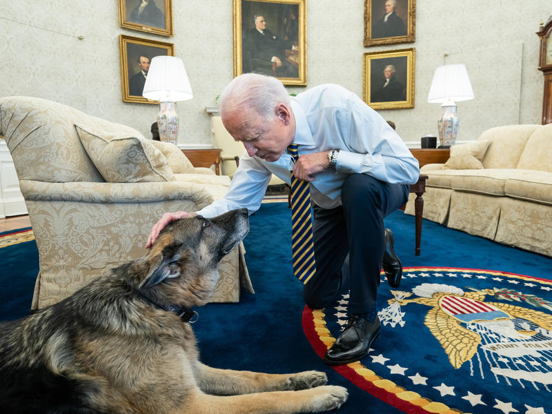 President Biden’s Canine Champ Dies