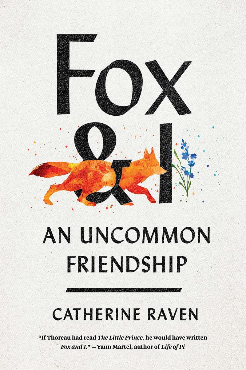 fox and i an uncommon friendship fox and i an uncommon friendship