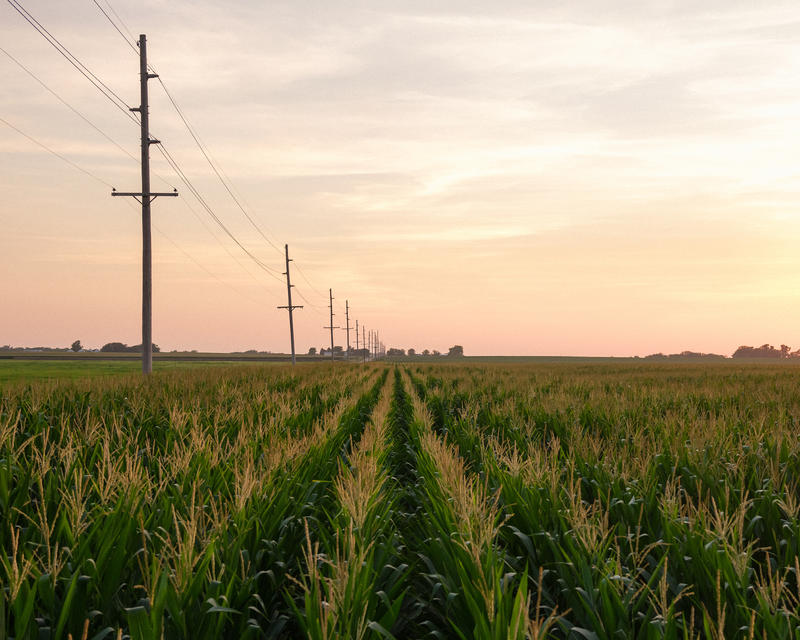 heat-is-killing-workers-in-the-u-s-and-there-are-no-federal-rules-to