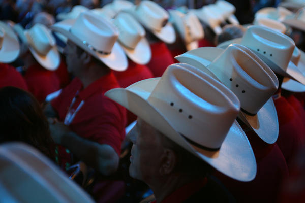 The Texas Delegation at the Republican National Convention in 2008