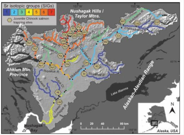 <p>Sean Brennan mapped strontium isotope ratios in Alaska's Nushagak watershed. Then he broke them down into 7 different groups that shared the same ratios so that he could match them up with the ratios he found in the otoliths of adult salmon he caught at the mouth of the river.</p>