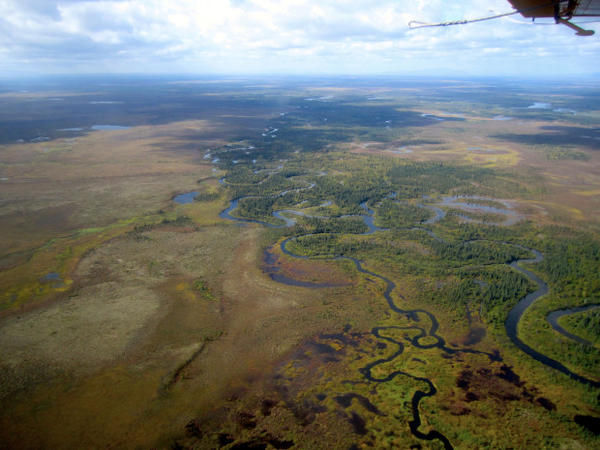 <p>One of the many tributaries of the Upper Nushagak River, home to one of the largest wild chinook salmon runs in the world.</p>