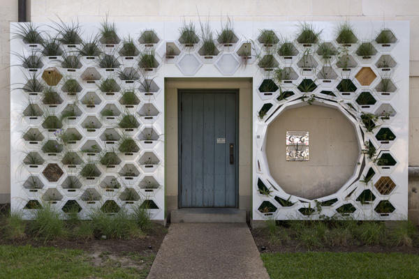 "Living wall" installations could become more common at the University of Texas, but first the self-sustaining ecosystem embedded in the wall must survive a Central Texas summer.
