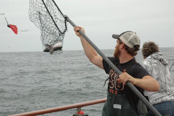 <p>Salmon fishing off the mouth of the Columbia River is closed for the season, effective Sunday.</p>