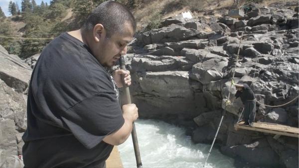 <p>James Kiona Jr. uses a dip net to fish for salmon on one of the scaffolds at Lyle Falls.</p>