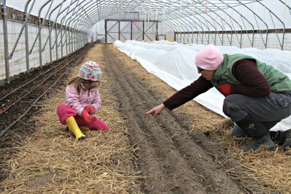 Organic farmer Liz Graznak and her daughter hunt for weeds in the high tunnel at Happy Hollow Farm in central Missouri.