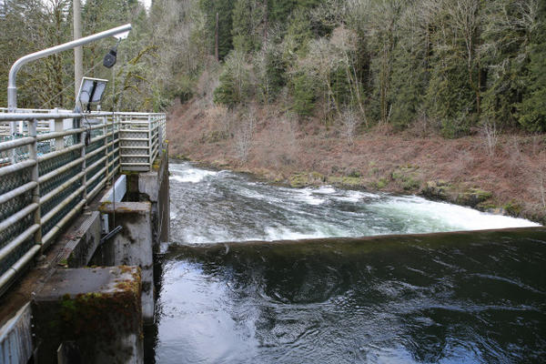 <p>The Portland Water Bureau is considering two water treatment options after the EPA ruled the city must take steps to prevent further outbreaks of cryptosporidium&nbsp;in its Bull Run water supply: an ultraviolet&nbsp;water treatment center and a traditional water filtration center.&nbsp;</p>
