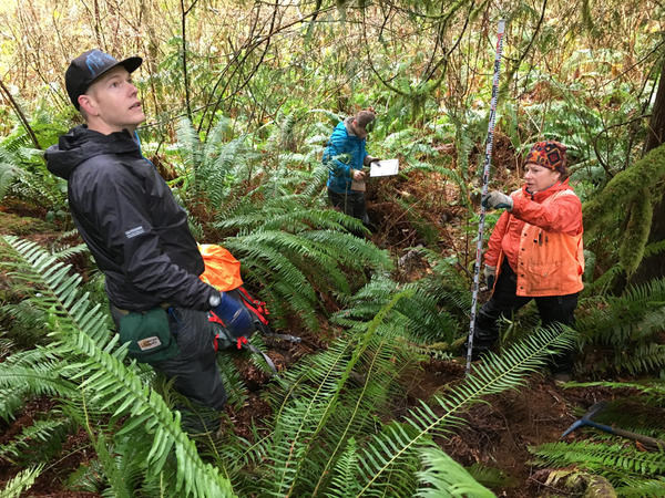 WWU Geology Dept. researchers stand on the Sadie Creek fault on state forestland north of Lake Crescent, Washington. The active fault scarp is unnoticeable to the untutored eye.